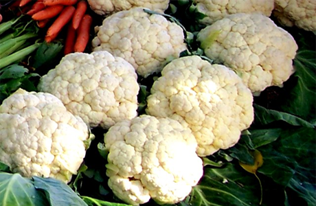 Couve-flor Couve-flor